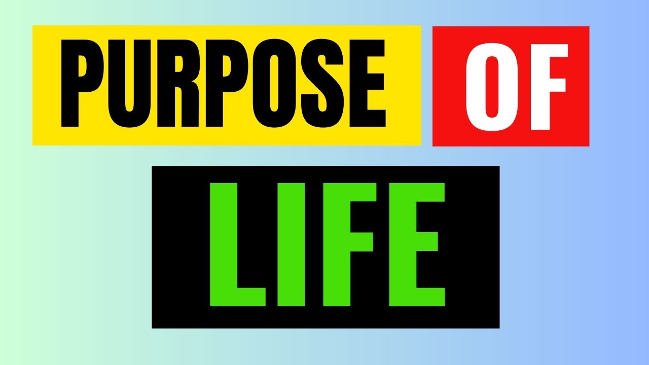 Purpose of life